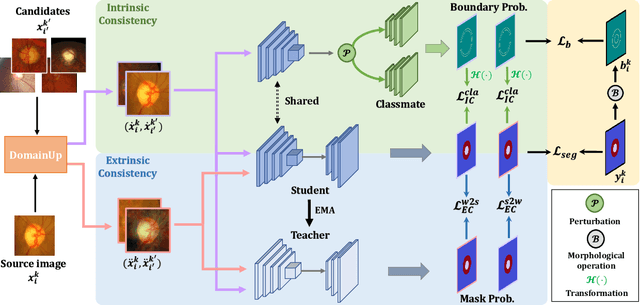 Figure 1 for HCDG: A Hierarchical Consistency Framework for Domain Generalization on Medical Image Segmentation