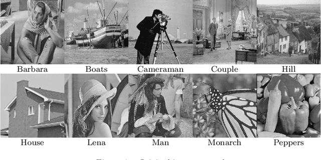 Figure 1 for Low rank prior and l0 norm to remove impulse noise in images