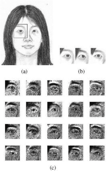 Figure 1 for Face Photo Sketch Synthesis via Larger Patch and Multiresolution Spline