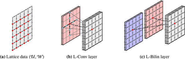 Figure 1 for Lattice gauge symmetry in neural networks