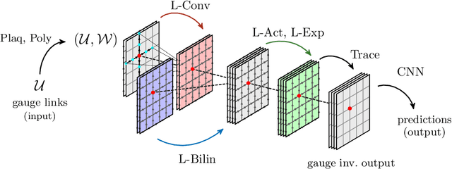 Figure 2 for Lattice gauge symmetry in neural networks