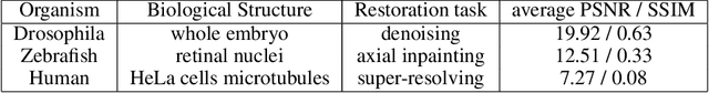 Figure 1 for Multi-defect microscopy image restoration under limited data conditions