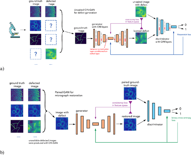 Figure 2 for Multi-defect microscopy image restoration under limited data conditions