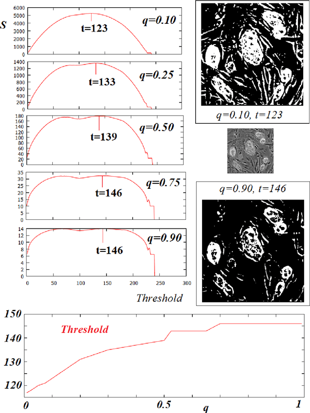 Figure 2 for Gray-Level Image Transitions Driven by Tsallis Entropic Index