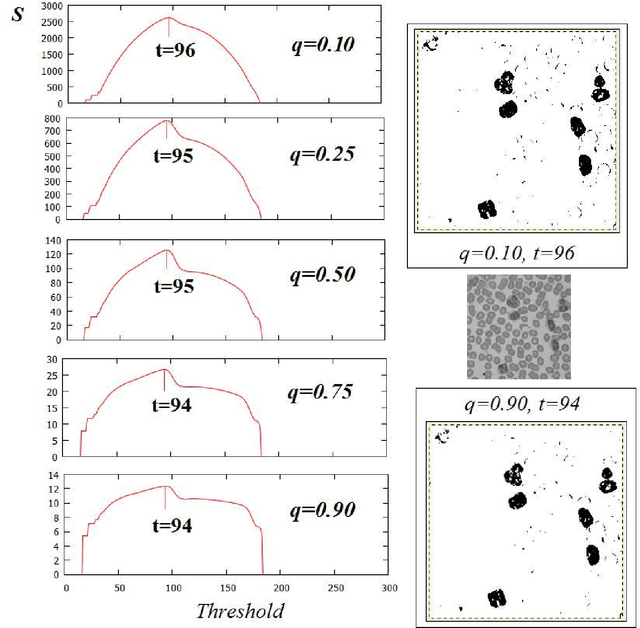 Figure 3 for Gray-Level Image Transitions Driven by Tsallis Entropic Index