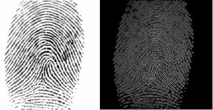 Figure 1 for Authentication Attacks on Projection-based Cancelable Biometric Schemes