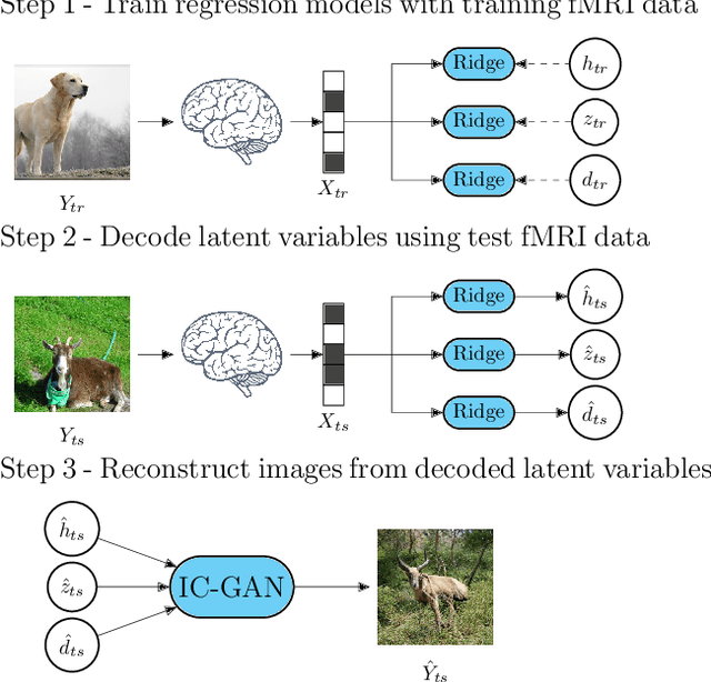 Figure 2 for Reconstruction of Perceived Images from fMRI Patterns and Semantic Brain Exploration using Instance-Conditioned GANs