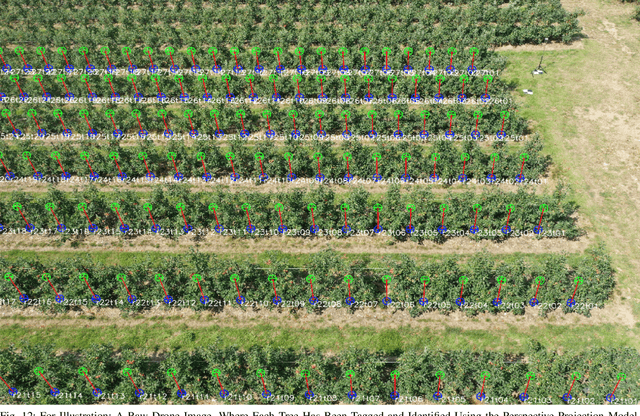 Figure 4 for An Artificial Intelligence System for Combined Fruit Detection and Georeferencing, Using RTK-Based Perspective Projection in Drone Imagery