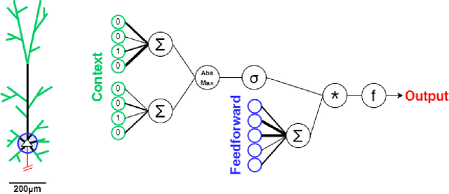 Figure 3 for The Role Of Biology In Deep Learning