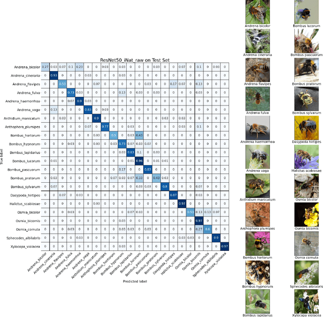 Figure 3 for Towards ML Methods for Biodiversity: A Novel Wild Bee Dataset and Evaluations of XAI Methods for ML-Assisted Rare Species Annotations