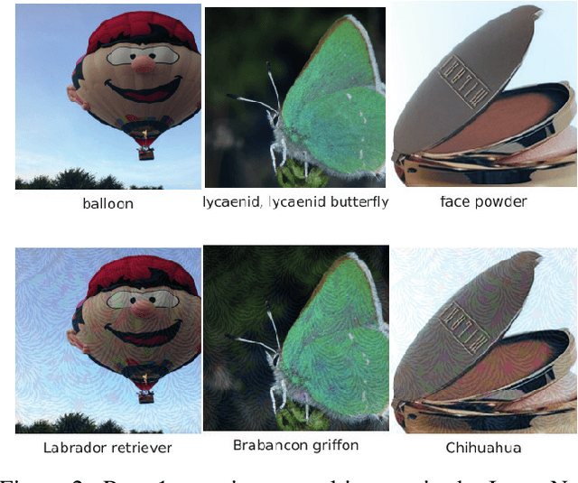 Figure 3 for Architectural Resilience to Foreground-and-Background Adversarial Noise