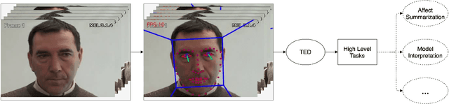 Figure 1 for Quantified Facial Temporal-Expressiveness Dynamics for Affect Analysis