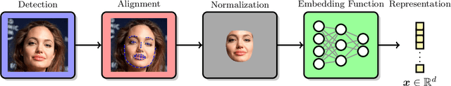 Figure 1 for On the Capacity of Face Representation