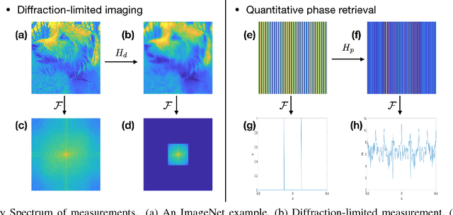 Figure 1 for Learning to synthesize: splitting and recombining low and high spatial frequencies for image recovery