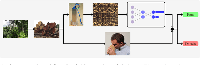 Figure 1 for Image Based Identification of Ghanaian Timbers Using the XyloTron: Opportunities, Risks and Challenges