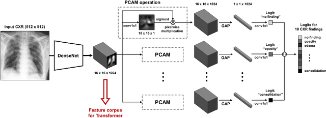 Figure 3 for Vision Transformer using Low-level Chest X-ray Feature Corpus for COVID-19 Diagnosis and Severity Quantification