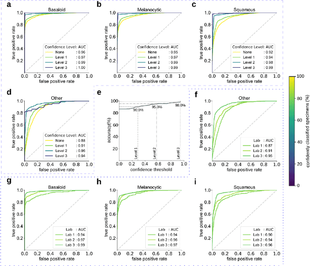 Figure 2 for Augmenting the Pathology Lab: An Intelligent Whole Slide Image Classification System for the Real World