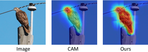 Figure 1 for Inferring the Class Conditional Response Map for Weakly Supervised Semantic Segmentation