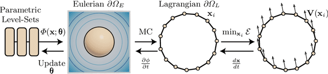 Figure 3 for A Level Set Theory for Neural Implicit Evolution under Explicit Flows