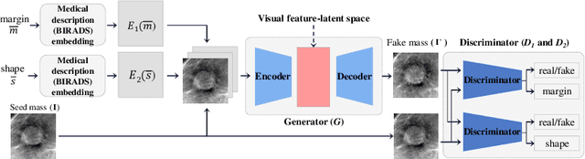 Figure 1 for Feature2Mass: Visual Feature Processing in Latent Space for Realistic Labeled Mass Generation
