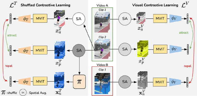 Figure 3 for SCVRL: Shuffled Contrastive Video Representation Learning