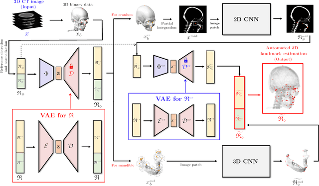 Figure 1 for Automated 3D cephalometric landmark identification using computerized tomography