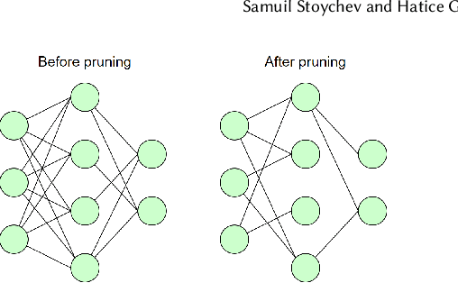 Figure 1 for The Effect of Model Compression on Fairness in Facial Expression Recognition