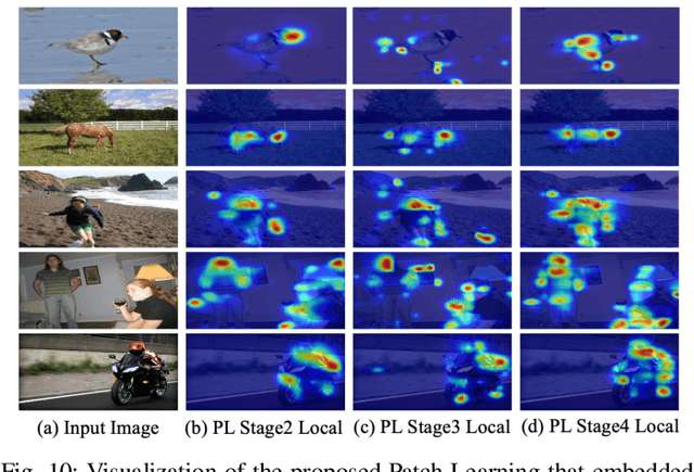 Figure 2 for Weakly Supervised Semantic Segmentation via Progressive Patch Learning