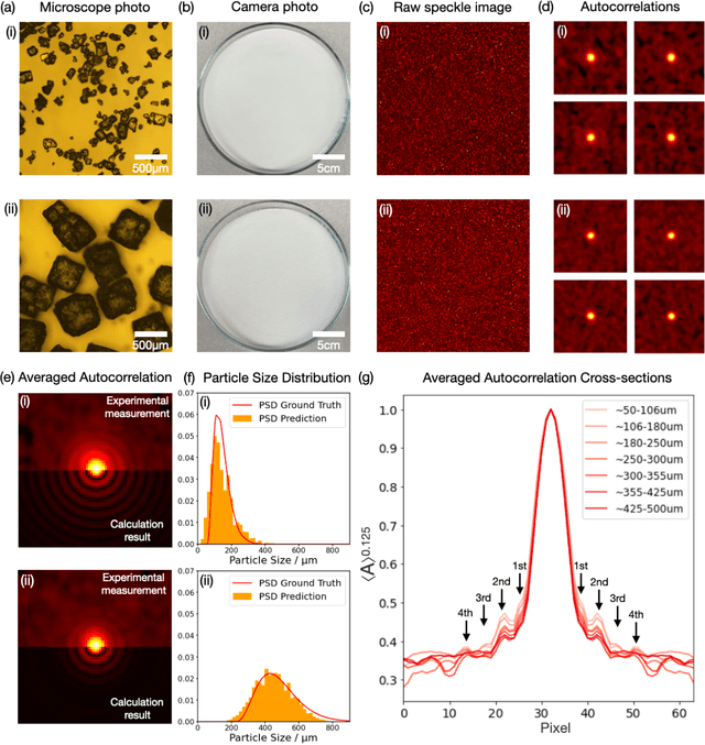 Figure 2 for From Laser Speckle to Particle Size Distribution in drying powders: A Physics-Enhanced AutoCorrelation-based Estimator (PEACE)