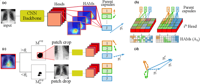 Figure 1 for DECAPS: Detail-Oriented Capsule Networks
