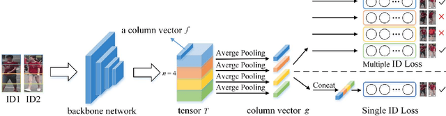 Figure 2 for Learning Diverse Features with Part-Level Resolution for Person Re-Identification