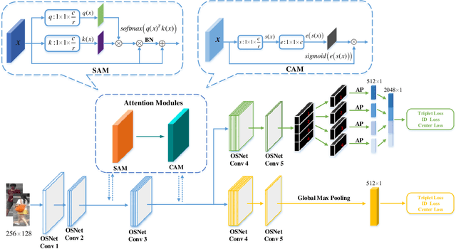 Figure 3 for Learning Diverse Features with Part-Level Resolution for Person Re-Identification