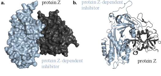 Figure 1 for Independent SE(3)-Equivariant Models for End-to-End Rigid Protein Docking