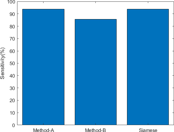 Figure 2 for Patient-Specific Seizure Prediction Using Single Seizure Electroencephalography Recording