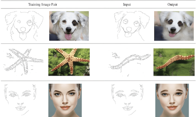 Figure 1 for Training End-to-end Single Image Generators without GANs