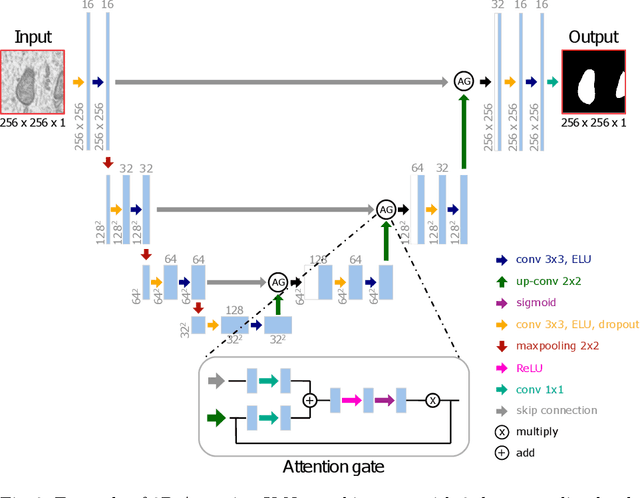 Figure 4 for Stable deep neural network architectures for mitochondria segmentation on electron microscopy volumes