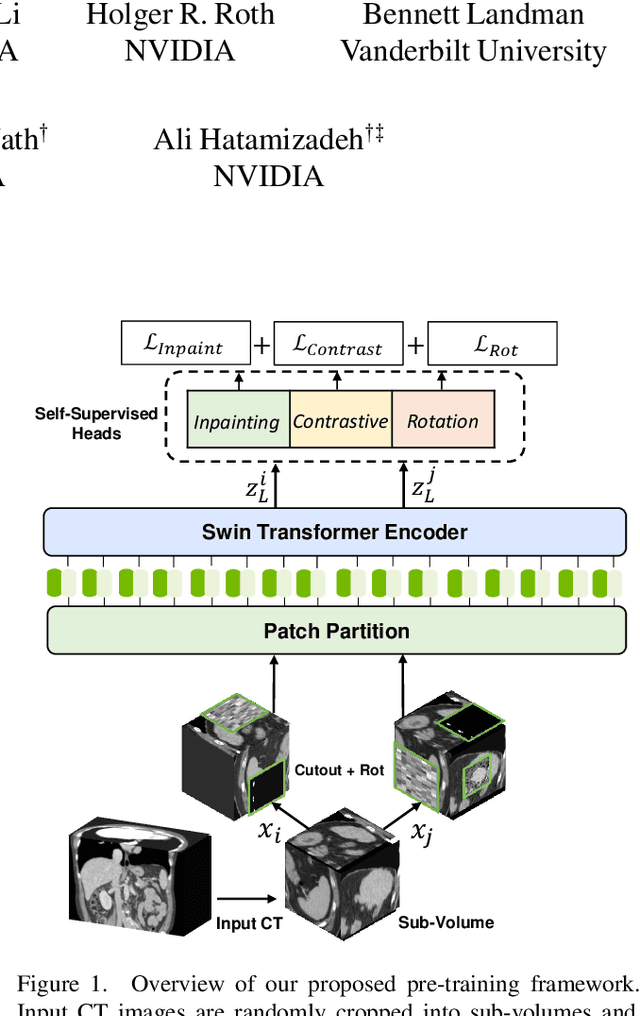 Figure 1 for Self-Supervised Pre-Training of Swin Transformers for 3D Medical Image Analysis