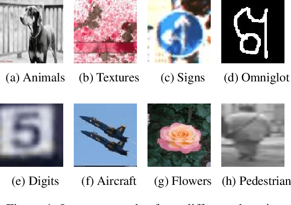 Figure 1 for Depthwise Convolution is All You Need for Learning Multiple Visual Domains