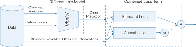 Figure 3 for The Causal Loss: Driving Correlation to Imply Causation