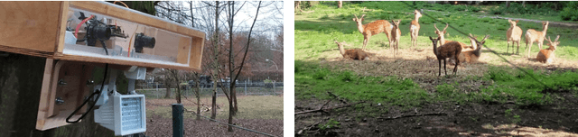 Figure 1 for SOCRATES: A Stereo Camera Trap for Monitoring of Biodiversity