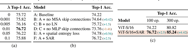Figure 2 for Spatial Entropy Regularization for Vision Transformers