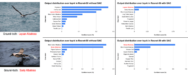 Figure 1 for Fine-Grained Visual Classification using Self Assessment Classifier