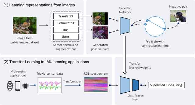 Figure 1 for IMG2IMU: Applying Knowledge from Large-Scale Images to IMU Applications via Contrastive Learning