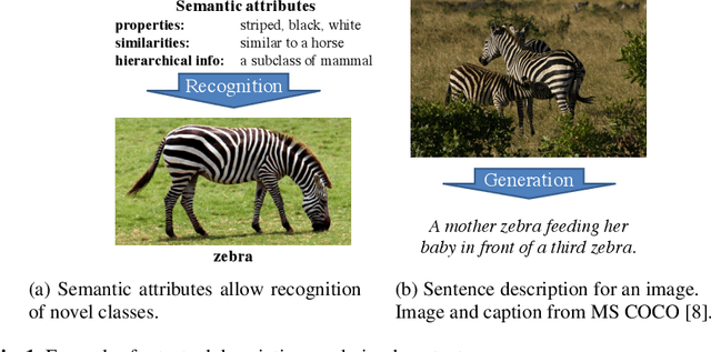 Figure 1 for Attributes as Semantic Units between Natural Language and Visual Recognition