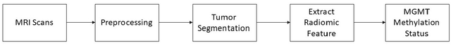 Figure 1 for Optimizing Prediction of MGMT Promoter Methylation from MRI Scans using Adversarial Learning