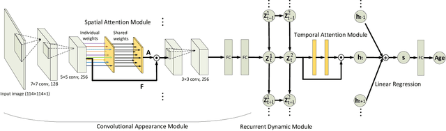 Figure 1 for Attended End-to-end Architecture for Age Estimation from Facial Expression Videos