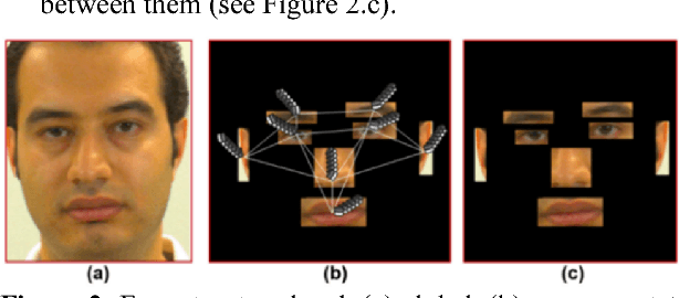 Figure 3 for Face Recognition: A Novel Multi-Level Taxonomy based Survey