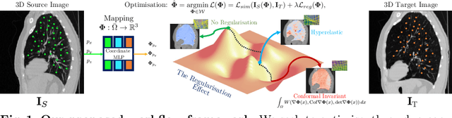 Figure 1 for Homeomorphic Image Registration via Conformal-Invariant Hyperelastic Regularisation