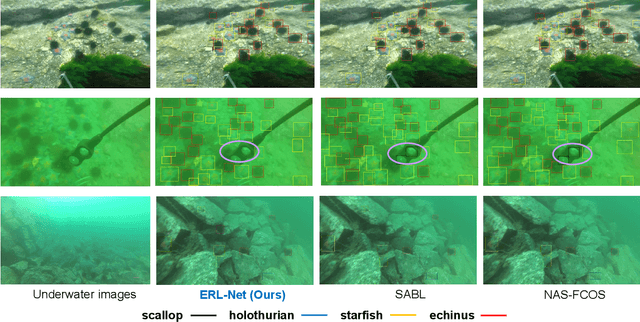 Figure 3 for Edge-guided Representation Learning for Underwater Object Detection