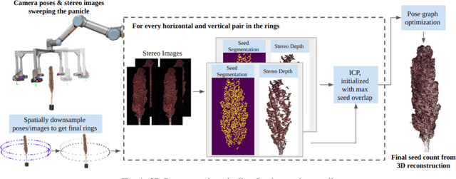 Figure 1 for 3D Reconstruction-Based Seed Counting of Sorghum Panicles for Agricultural Inspection